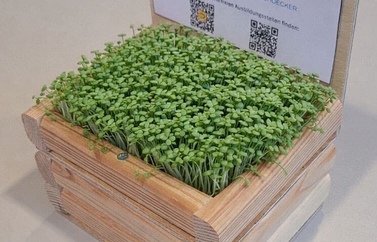 Dieser Miniatur-Dachgarten kann auf der Messe gebaut werden. Erde und Kresse gibt’s für Zuhause. Eine durchdachte Technik zeigt an, wann die Pflanzen Wasser brauchen.