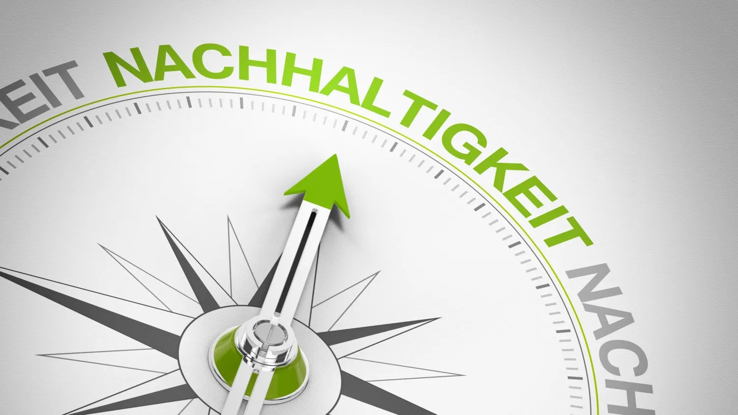 Handwerksbetriebe, die in Sachen Nachhaltigkeit gut aufgestellt sind, sollten ihre Aktivitäten auf der Website veröffentlichen.