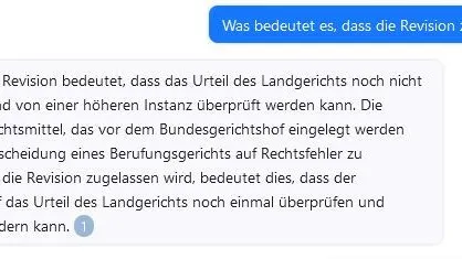 Screenshot vom Chat: Der Fall wurde zur Revision zugelassen. Was das genau bedeutet, erläutert die KI ausführlich.