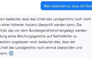 Screenshot vom Chat: Der Fall wurde zur Revision zugelassen. Was das genau bedeutet, erläutert die KI ausführlich.