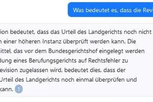 Der Fall wurde zur Revision zugelassen. Was das genau bedeutet, erläutert die KI ausführlich.