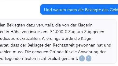 Screenshot vom Chat: Warum die 31.000 Euro in dem Fall zurückgezahlt werden müssen, kann Chatpdf ebenfalls nicht im Detail beantworten. Sie weiß nur, dass es einen entsprechenden Gerichtsbeschluss gibt.