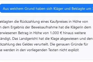 Screenshot vom Chat: Immerhin weiß die KI zu berichten, warum sich die beiden Parteien vor Gericht gestritten haben: Die Klägerin hat den Kaufpreis von 31.000 Euro zurückverlangt.