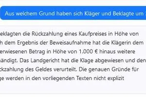 Immerhin weiß die KI zu berichten, warum sich die beiden Parteien vor Gericht gestritten haben: Die Klägerin hat den Kaufpreis von 31.000 Euro zurückverlangt.
