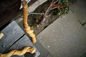 Der Stenz hat Pause.