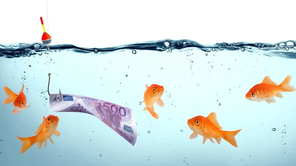 Goldfische schwimmen im Wasser, neben ihnen schwimmt ein 500 Euro Geldschein.