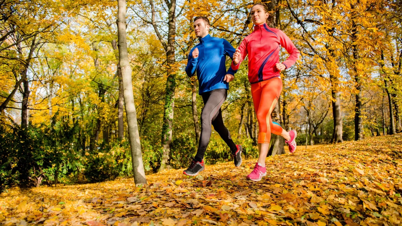 Zwei Jogger in einem blauen Joggingoutfit und eine Joggerin in einem orangenen Joggingoutfit laufen in einem herbstlichen Wald.
