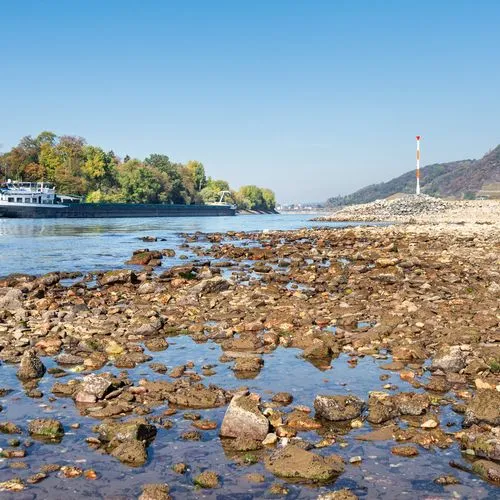 Ein Binnenschiff fährt trotz Niedrigwasser auf dem Rhein.