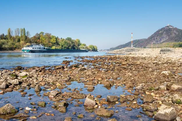 Ein Binnenschiff fährt trotz Niedrigwasser auf dem Rhein.